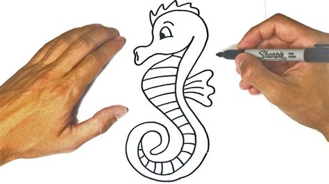How To Draw A Seahorse Step By Step Seahorse Drawing Lesson