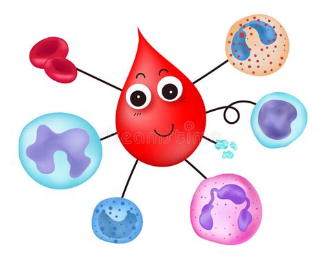 Type Of White Blood Cell Monocyte Stock Vector Illustration Of