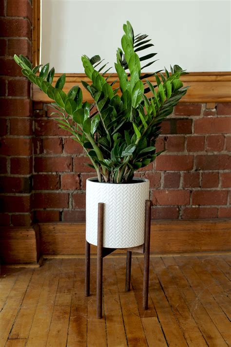 Living Room Plants Thoughts - DRAINAGE POT + PLANT STAND DIY | Diy