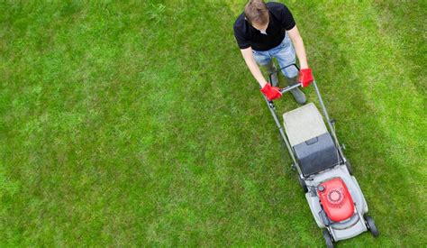 Pros And Cons Of Diy Lawn Care For New Homeowners — Rismedia