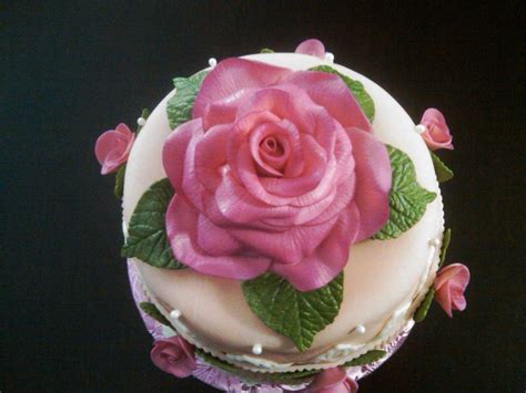 Pretty and delicious looking Rosé Birthday Cake Rose Cake Cake