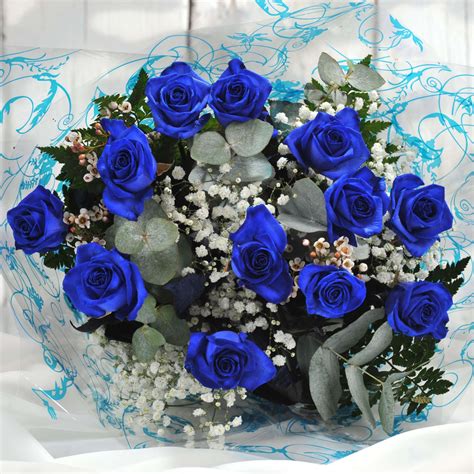 Real Blue Rose Bouquet Ubicaciondepersonascdmxgobmx