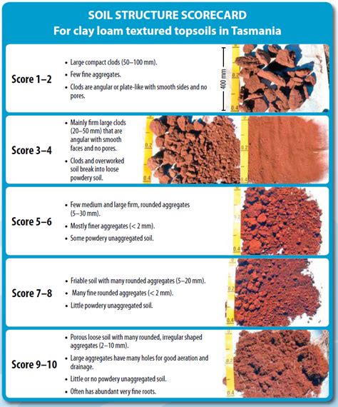 Soil Structure And Texture