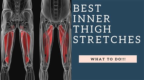 Best Inner Thigh Stretches For Tight Groin And Hip Adductor Muscles Youtube