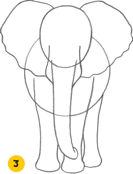 Animals | Elephant sketch, Elephant drawing, Elephant painting