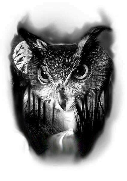 Owl Tattoo Drawings Owls Drawing Tatoo Art Birds Tattoo Tattoo