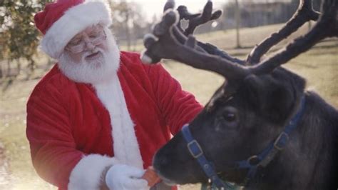 Watch Santa And His Reindeer Live At The North Pole