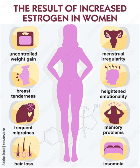 The Result Increased Estrogen In Women Infographic Vector Estrogen Hormone Levels Female Sex