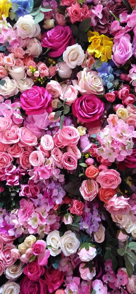 Best Rose Flower Wallpapers