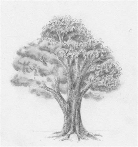 Baumstamm mit acryl malen : Laub - Baum - zeichnen lernen - Zeichenkurs