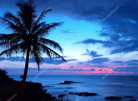 Silhouetted Palm Trees At A Tropical Beach Sunset — Stock Photo © Geolog 13634910