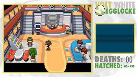 You can battle hilbert and hilda. Pokemon Volt White 2 Egglocke! (Stream 1) - YouTube