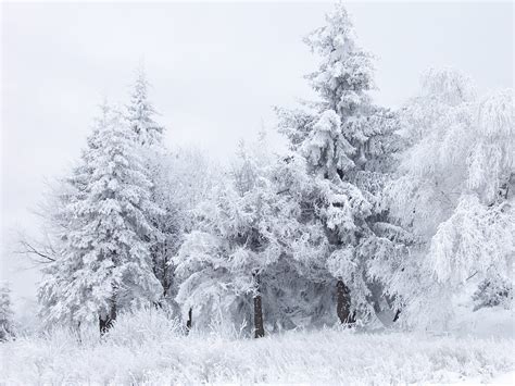 Free Winter Pictures For Desktop Background Largest Wallpaper Portal