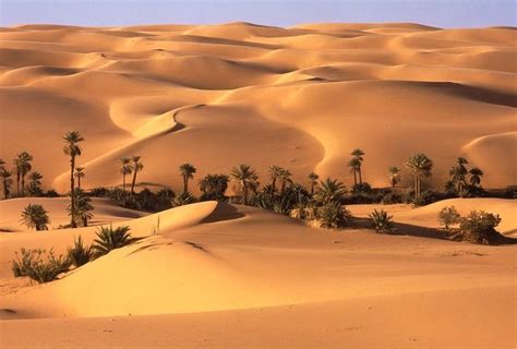 Types Of Deserts With Characteristics And Examples Science Facts