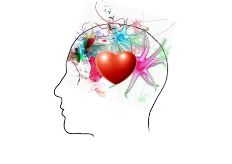 La Inteligencia Emocional Es La Capacidad Del Cerebro Humano Para “racionalizar Las Emociones