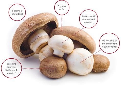 Nutritional Benefits Of Mushrooms Mushroom Council