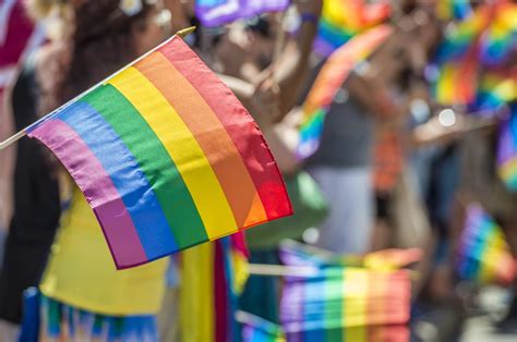 Lgbtq College Culture Guide Affordable Colleges Online
