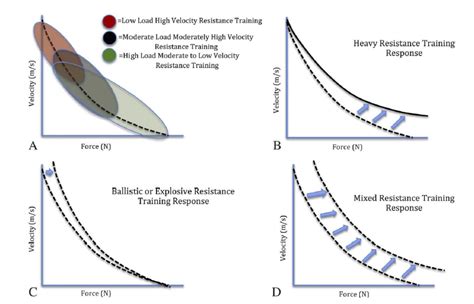 You can see in the curve that various zones have been set out. VBT=Zero Gains: A Powerlifter's Guide to Velocity Based ...