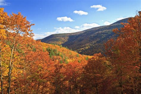Fall Foliage in the Catskills | Windham, New York - Albergo Allegria
