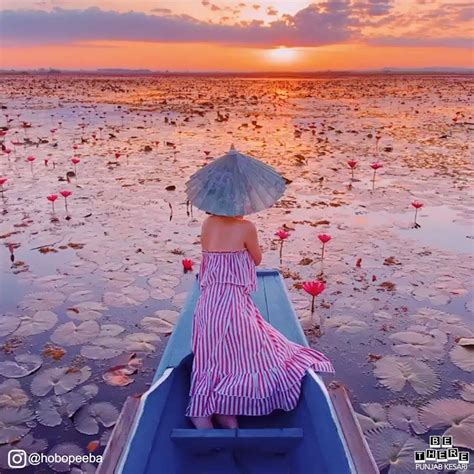 Beautiful Red Lotus Lake In Udon Thani Thailand Awaysis Travel