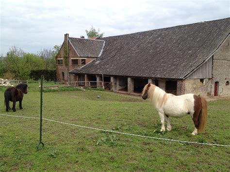 Te huur kleine boerderij met paardenstalling