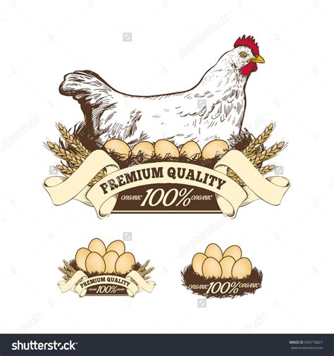 Chicken Badges Fresh Farm Food Logotype Cooking Egg And Bir 870096