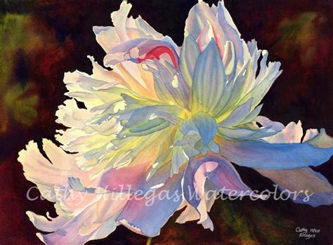 White Peony Art Watercolor Painting Print By Cathy Hillegas Etsy Canada