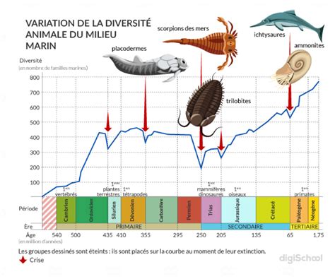 Les graphiques en secteurs permettent de représenter les proportions d'un ensemble, lorsque le total de vos nombres correspond à 100 %. Apparition et disparition d'espèces au cours du temps - SVT - 3ème