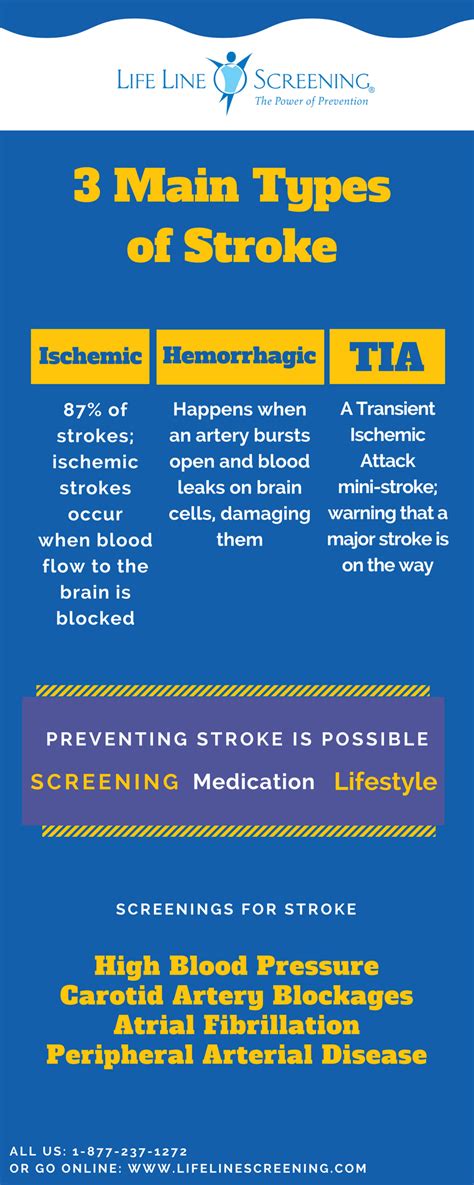 Three Kinds of Stroke (Infographic) | Life Line Screening