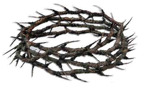 Lot Detail Crown Of Thorns From The Passion Of The Christ One