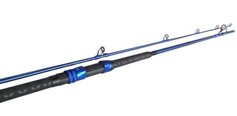 Top Best Master Saltwater Fishing Rods In Buying Guide Best
