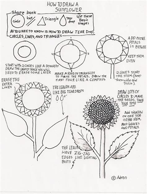 Learning how to draw flowers is pretty easy to do. How to Draw Worksheets for The Young Artist: September 2011