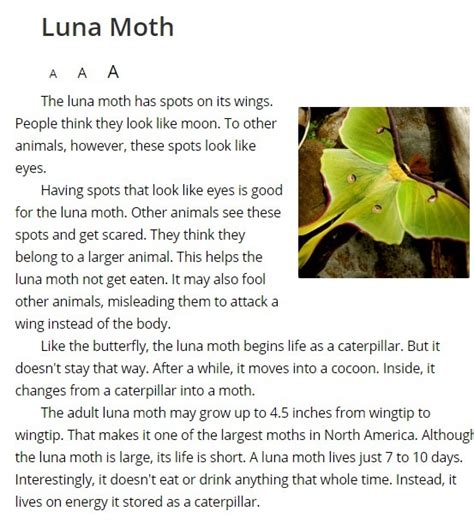 Luna Moth Diagram Quizlet