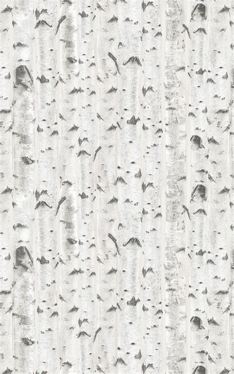 White And Cream Birch Tree Pattern Wallpaper Mural Hovia Uk Tree