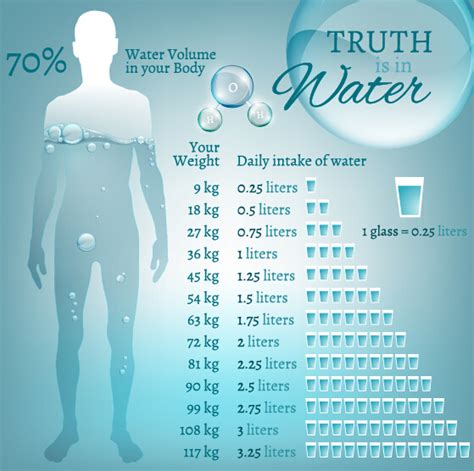 The body is 60% water by weight. Water in human body infographic vector 05 - Vector ...