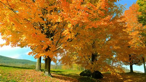 42 Places To See Fall Foliage In New England