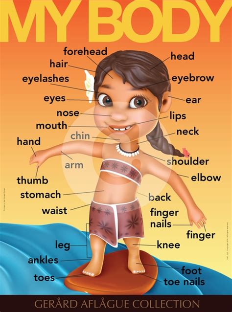 Learn these parts of body names to increase your vocabulary words in english. English Teach Me My Body Parts - Female - Teacher ...
