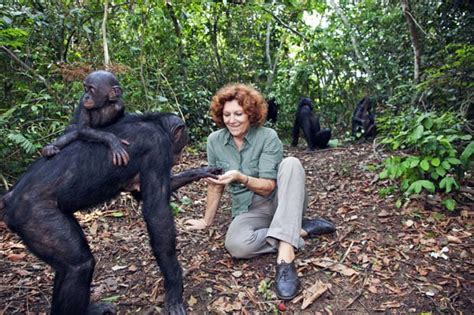 Lola Ya Bonobo Sanctuary In The Democratic Republic Of Congo