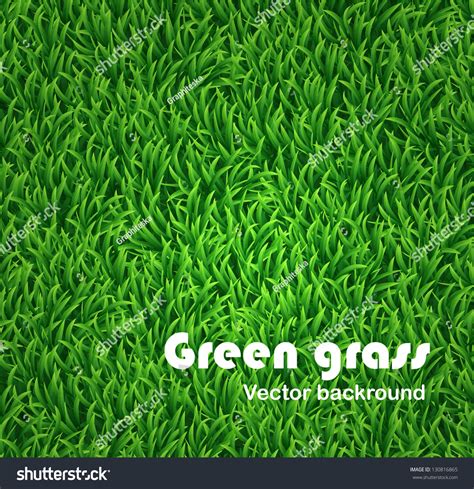 Green Grass Background Vector Texture 130816865 Shutterstock