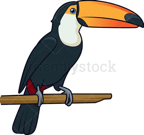 2 Toucan Clipart Cartoon Images And Vector Illustrations Friendlystock