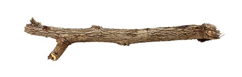 Tree Branch Stick 18927714 Png