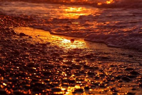 Pebble Beach Close Up Surfing Sea Sunset Light Stock Photos Free