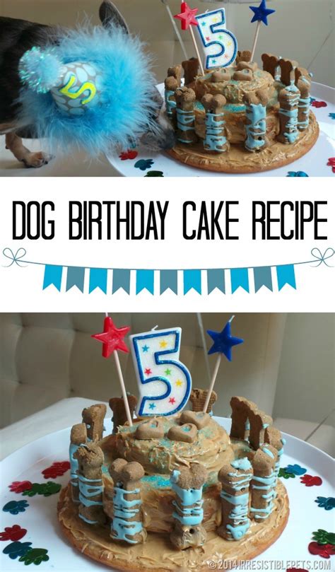 Today is my dog's birthday, so we're celebrating by making a peanut butter banana doggie birthday cake! Dog Birthday Cake Recipe for Chuy's 5th Birthday - Irresistible Pets