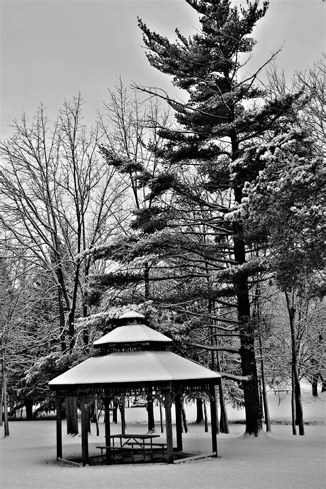 Black And White Winter Scene Richard W Jenkins Gallery Photography