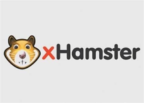 XHamster Fascinating Facts About The Popular Porn Site