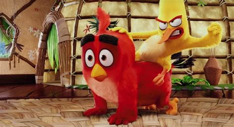 Primer Tráiler De Angry Birds La Película ¿por Qué Están Los