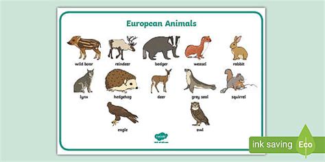European Animals Word Mat Teacher Made Twinkl