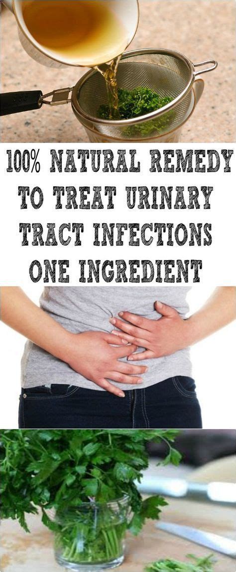 100 Natural Remedy To Treat Urinary Tract Infections One Ingredient