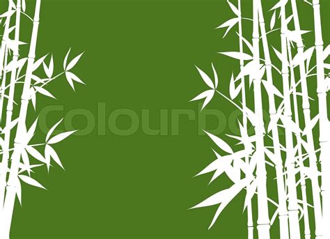 Bamboo Vektor Illustration Stock Vektor Colourbox