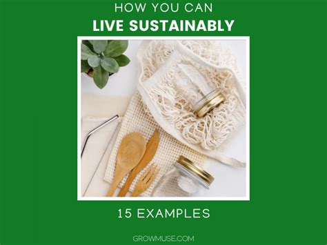 Want To Know How You Can Live Sustainably In 2021 Growmuse Beginner